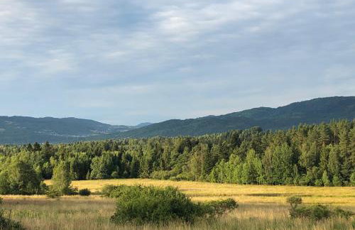 domki-sopotnia - Foto 40