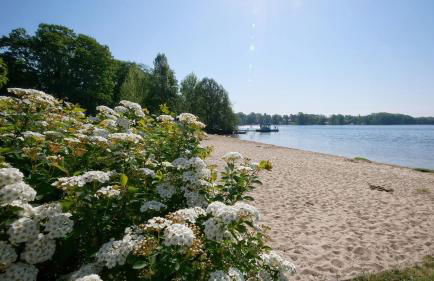 Apartment an der Saarow Therme - Foto 17