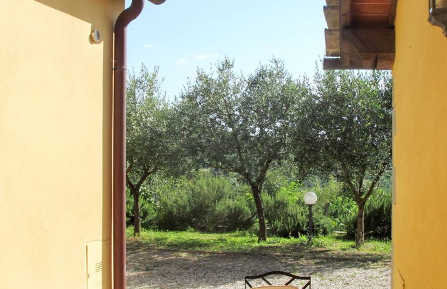 Cedri Alti - Photo 16