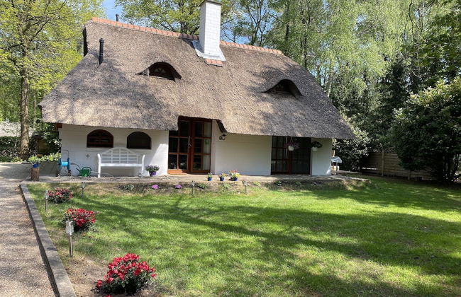 Ferienhaus Boschhuys - Foto 19