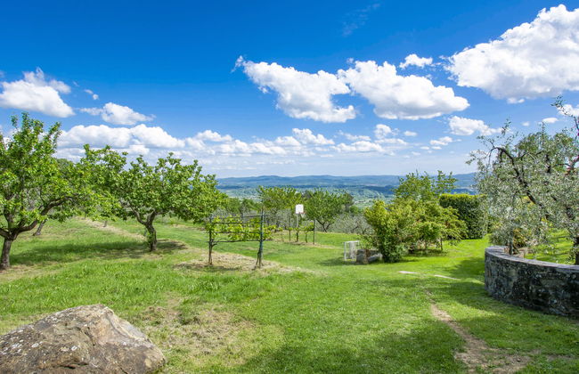 Il Casellino - Foto 28