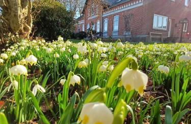Ankerplatz und Ausguck - ruhige FeWo nahe der Ostsee - Foto 15