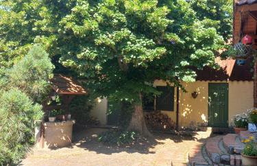 Avalon Połchowo - Foto 35