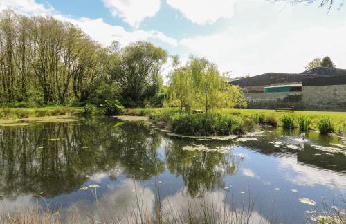 Glanduad Fawr - Foto 51