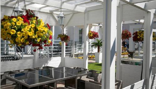 Palisander z widokiem na morze - Foto 5