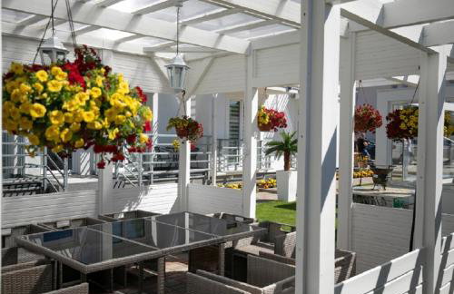 Palisander z widokiem na morze - Foto 5