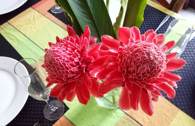 White House Villa - Foto 14