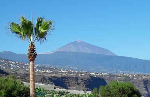 Casa Amadeus - Foto 12