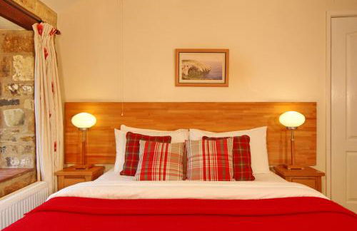 David's Organic Farm Wales - Foto 36