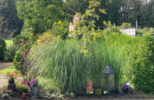 Ferienwohnung Schmugglerpatt - Foto 16