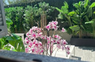 Villa&Colombo - Foto 20