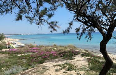 Villa Torretta - Mare Salento - Foto 44