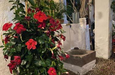 Ático Casa Lola - Foto 41