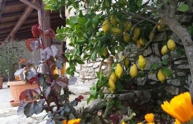 Agriturismo Regno di Marzagaglia - Foto 45