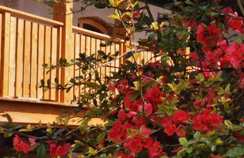 Ansitz Grustdorf - Foto 50