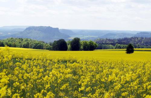 Ferienwohnung May - Foto 24