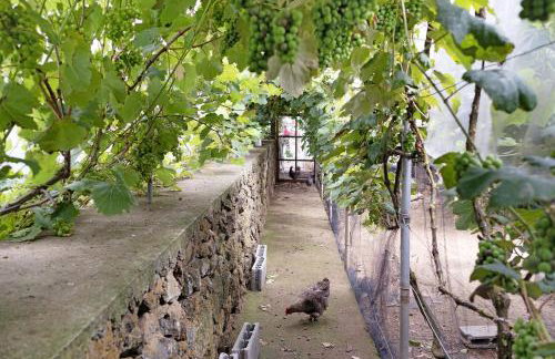 Casa das Rosas - Photo 3