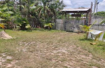 Sitio na floresta px a Belém - Photo 12