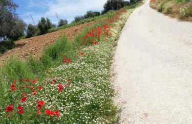 Country House Ciliegia Rossa - Foto 17