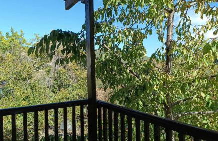 House in the Forest - Foto 34