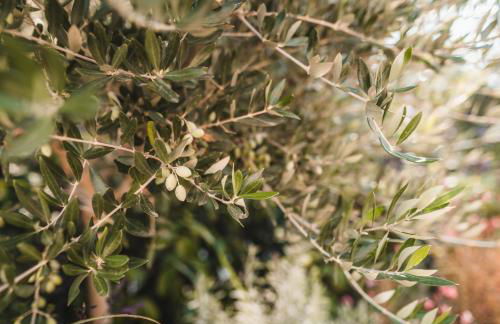 Dominoes Corfu - Foto 41