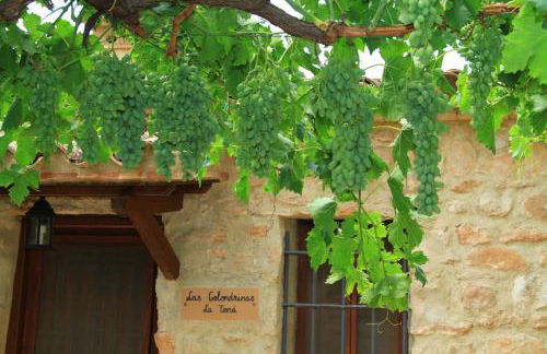 Alojamientos Rurales Cortijo Las Golondrinas - Foto 24