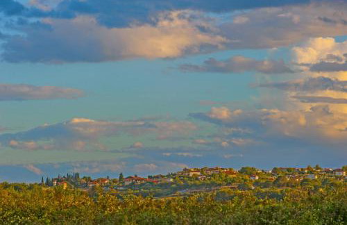 Polys Guest House - Foto 14