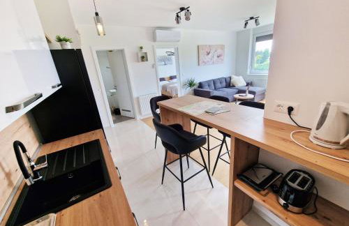 Apartment Queen, self check-in, free private garage parking - Foto 9