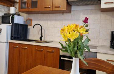 Apartment Sipar - Foto 16