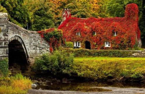 Cosy Cottage, Nr Betws y Coed. - Photo 27