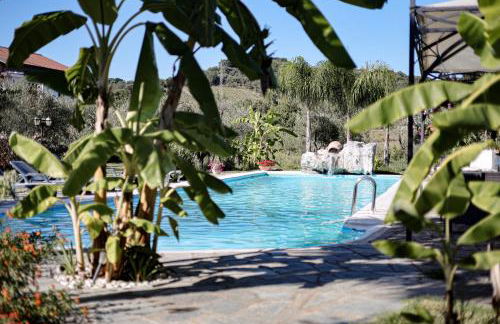 Agriturismo Il Pozzo - Foto 4