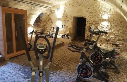 GITE LONGERE DE 15 PERSONNES AU CHATEAU DE JALLANGES VOUVRAY - Foto 17