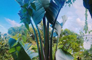 The Artist's Farm - Foto 63