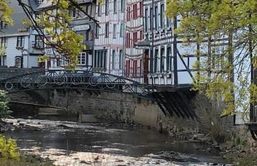 Apartment Am Fluss im Haus An der Rur - Foto 23