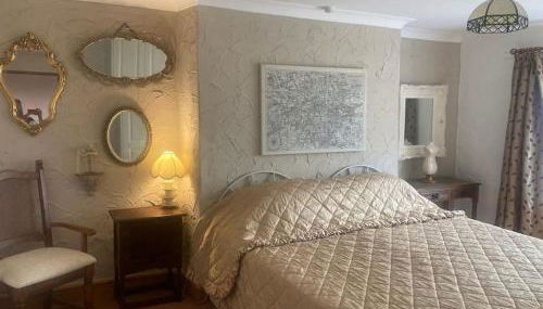 Quaint Cottage main street Llandeilo - Foto 4