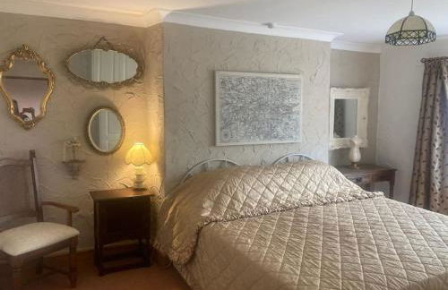 Quaint Cottage main street Llandeilo - Photo 4