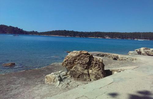 Apartments Mlacovic - Photo 21