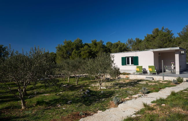 Olive Eden - Foto 50