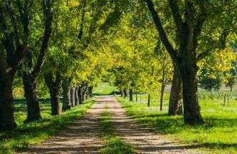 Domaine familial la marjoline - Photo 1