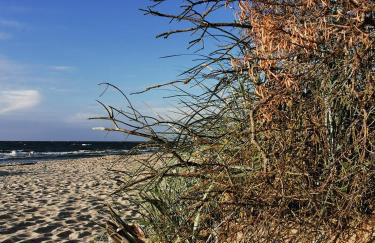 Villa Lounika - Foto 4