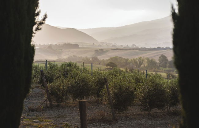 Le Fraine Agriturismo & Olives Glamping - Foto 12