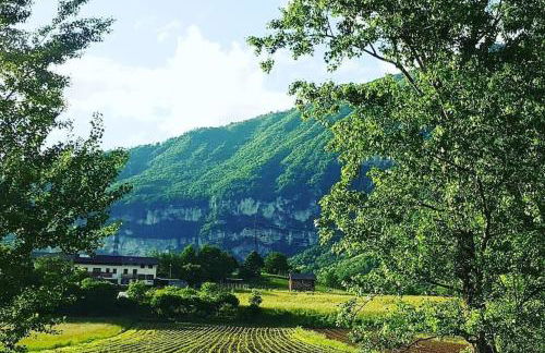 La Rocconella - Foto 29