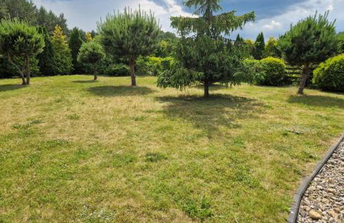 Leśna Oaza - Foto 10