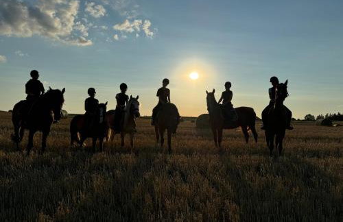 Domki Na Ranczo - Foto 21