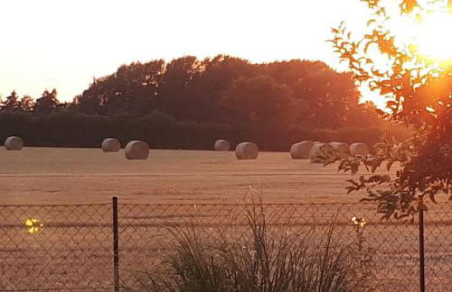 Holiday Home mit Grill und Garten in Neukirchen by Interhome - Foto 21