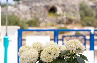 Torrevado relax 5/6 p.letto a 200 metri dal lungomare - Foto 7