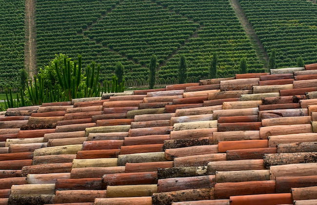 Relais Di Tenuta Santa Caterina - Foto 25