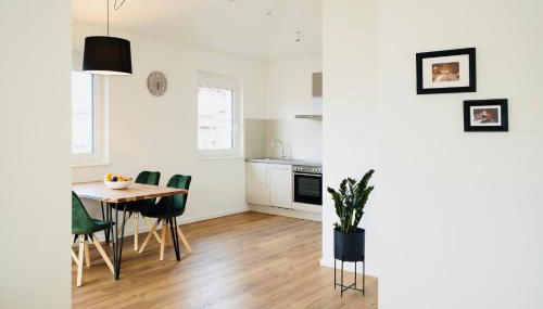 VILLA BERTA-EuropaPark-Schwarzwald-Freiburg - Foto 5, stove