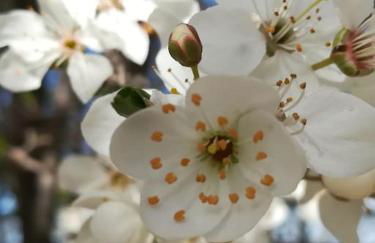 Le Patio 4*. SPA, jardin, piscine en provence, proche Grignan - Foto 44