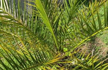 Appartement calme entre Côte Basque et Landes - Foto 23